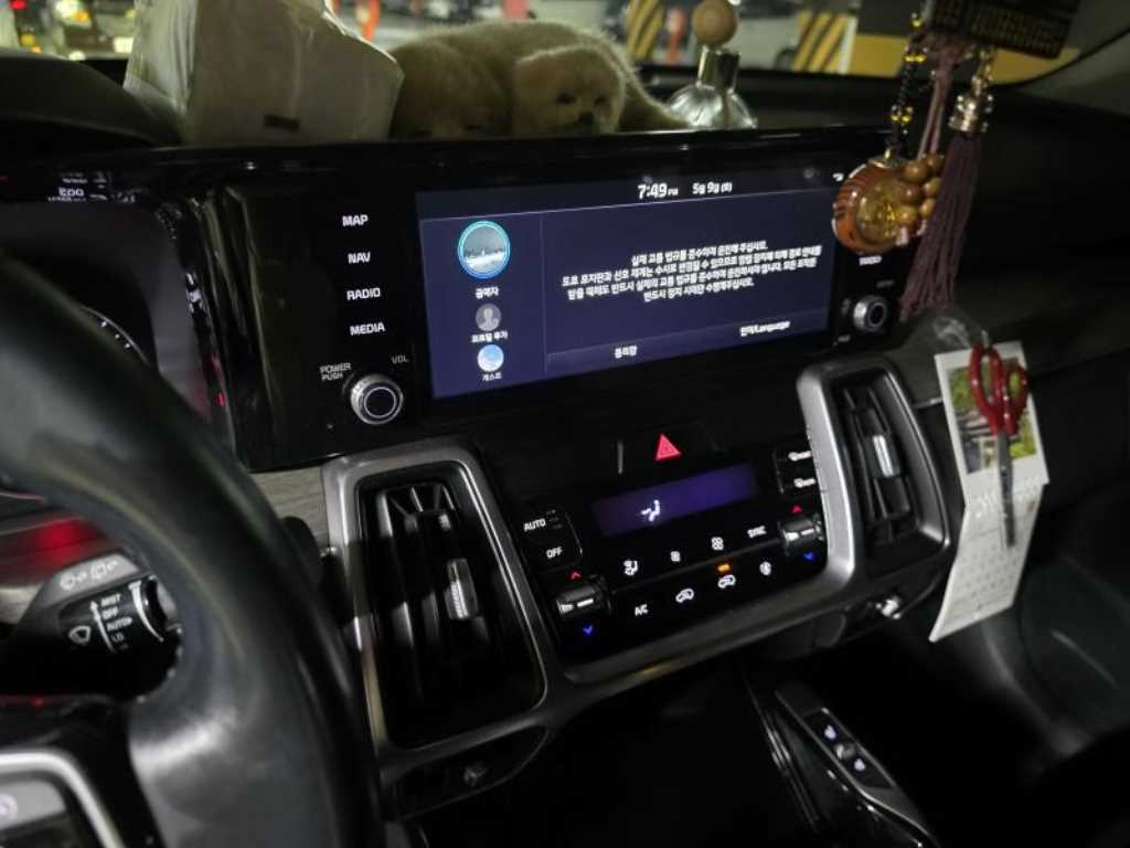 KIA Sorento - Vista 10