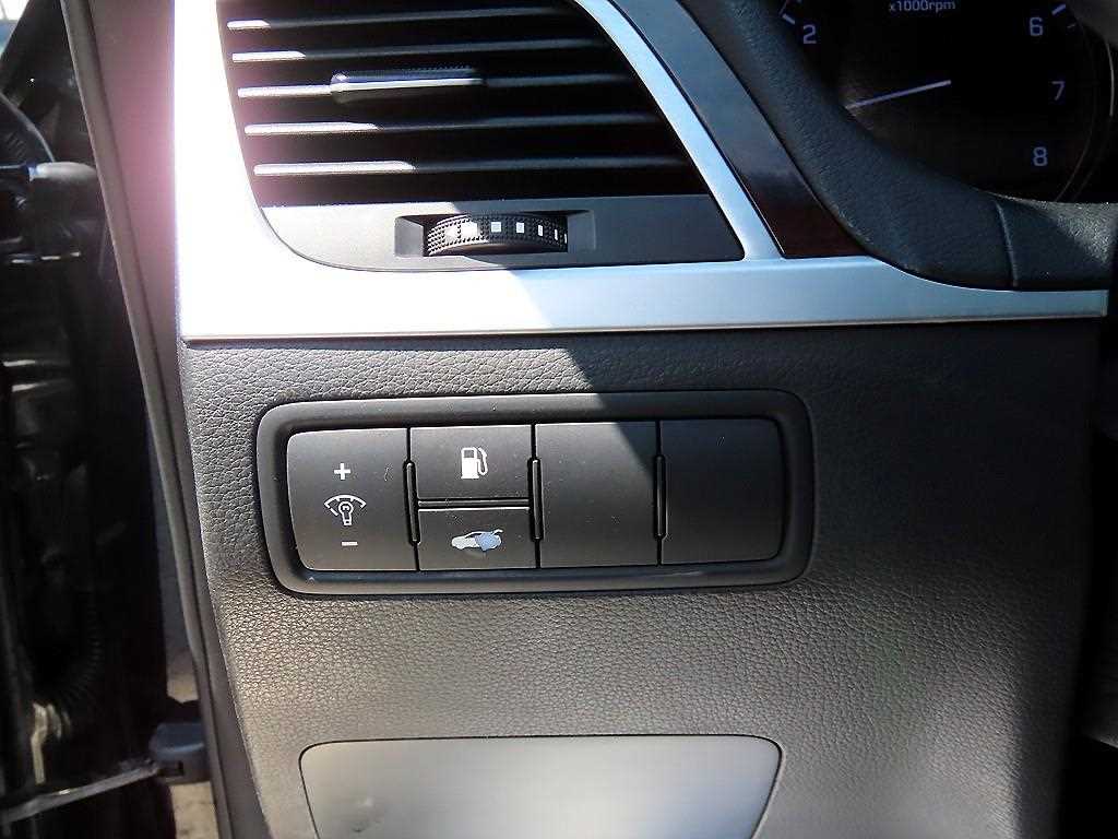 HYUNDAI Genesis - Vista 12