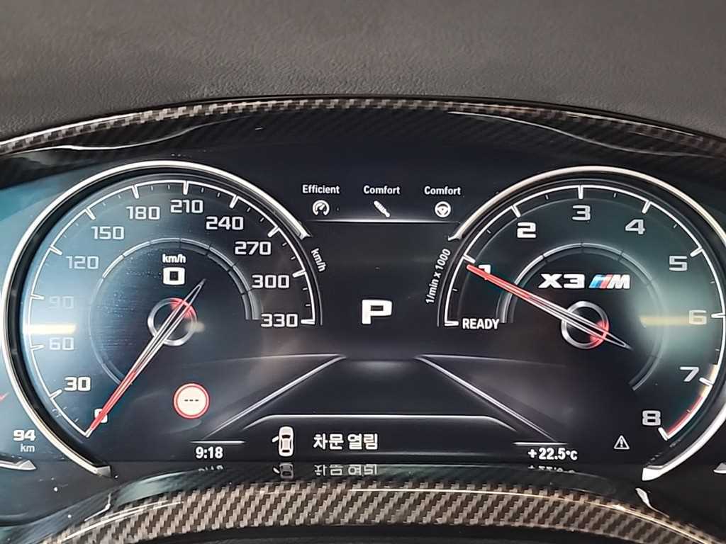 BMW X3M - Vista 6