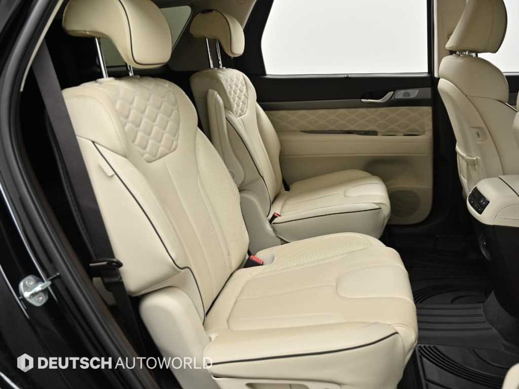 HYUNDAI Palisade - Vista 12