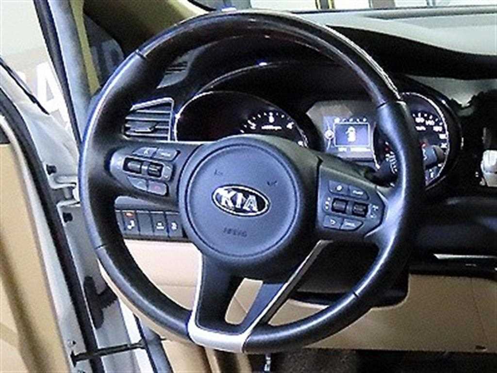 KIA Carnival - Vista 8