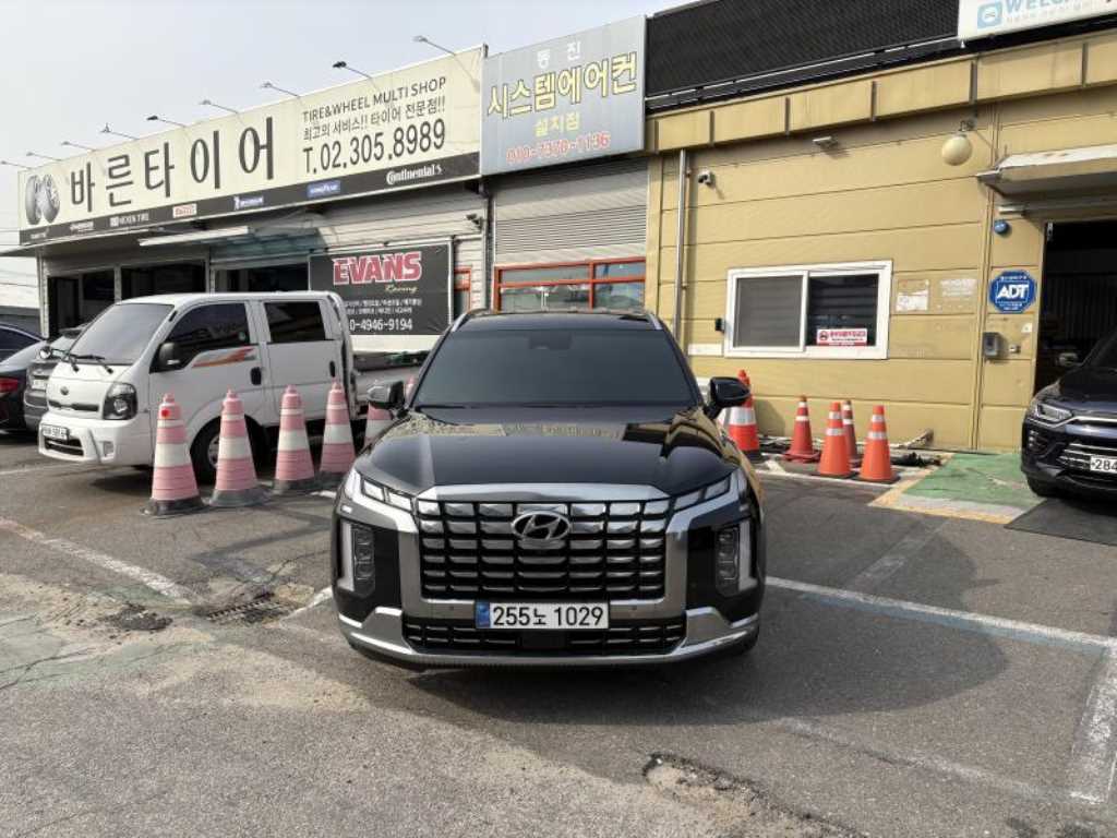 HYUNDAI Palisade - Vista 9