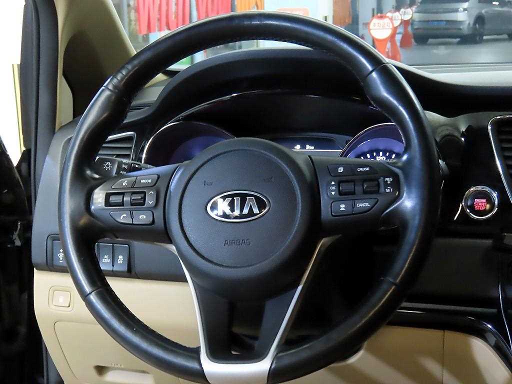 KIA Carnival - Vista 8