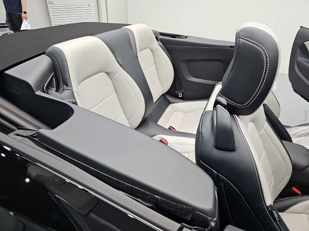 Ford Mustang - Vista 12
