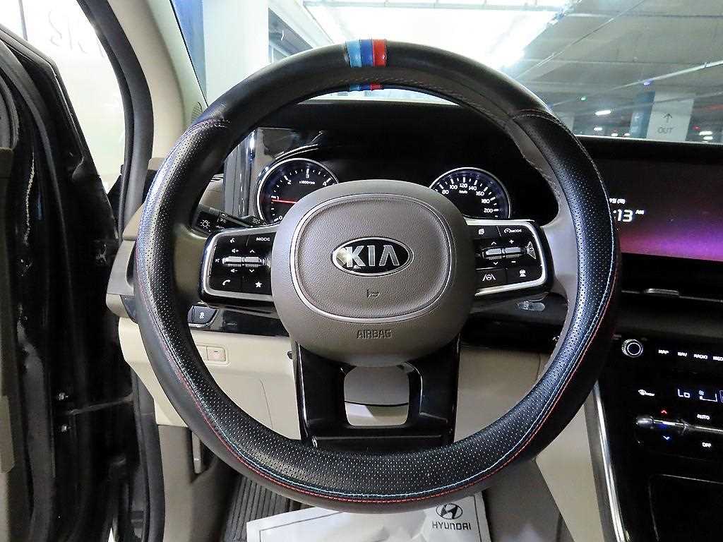 KIA Carnival - Vista 8