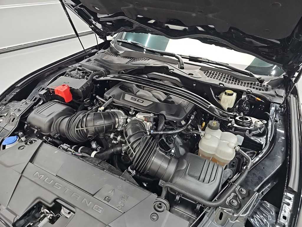 Ford Mustang - Vista 5