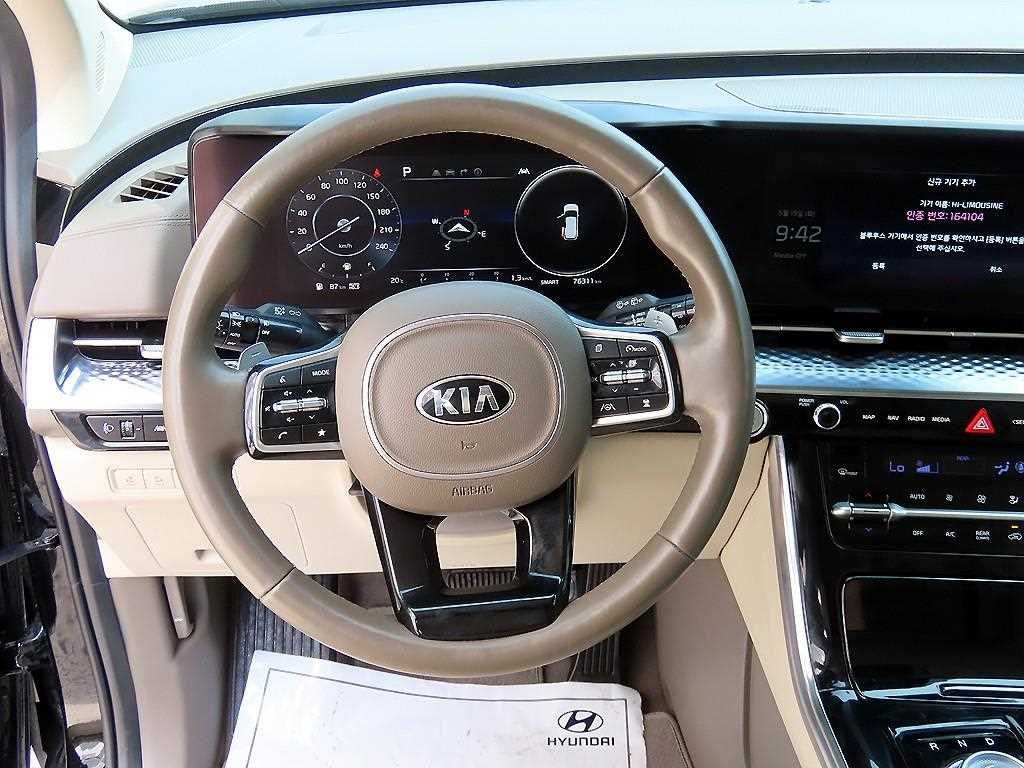 KIA Carnival - Vista 9