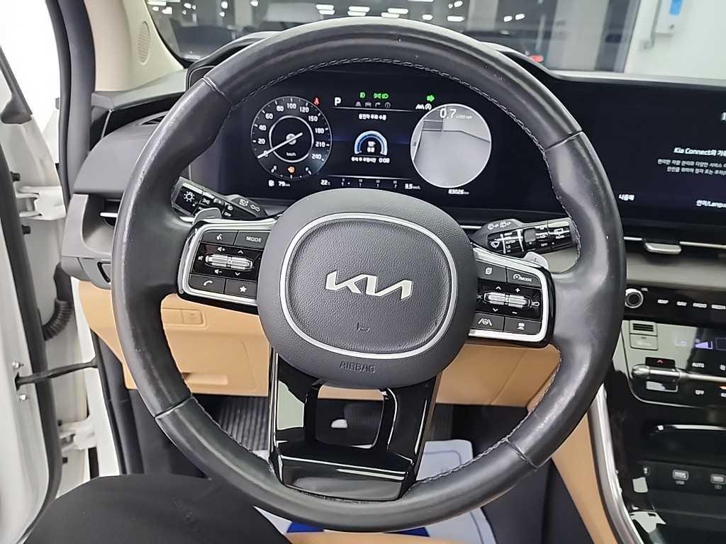 KIA Carnival - Vista 9