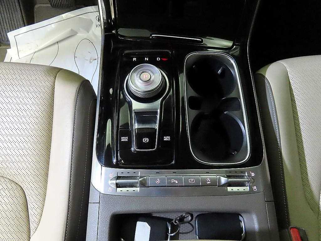 KIA Carnival - Vista 12