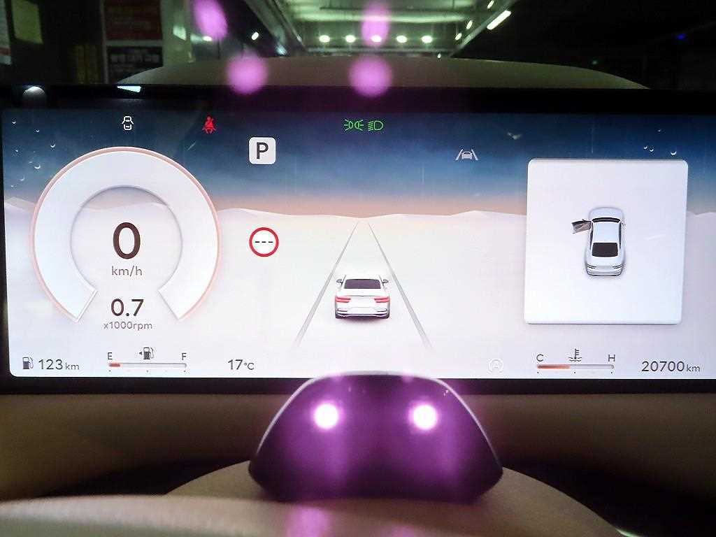 Genesis G80 - Vista 9
