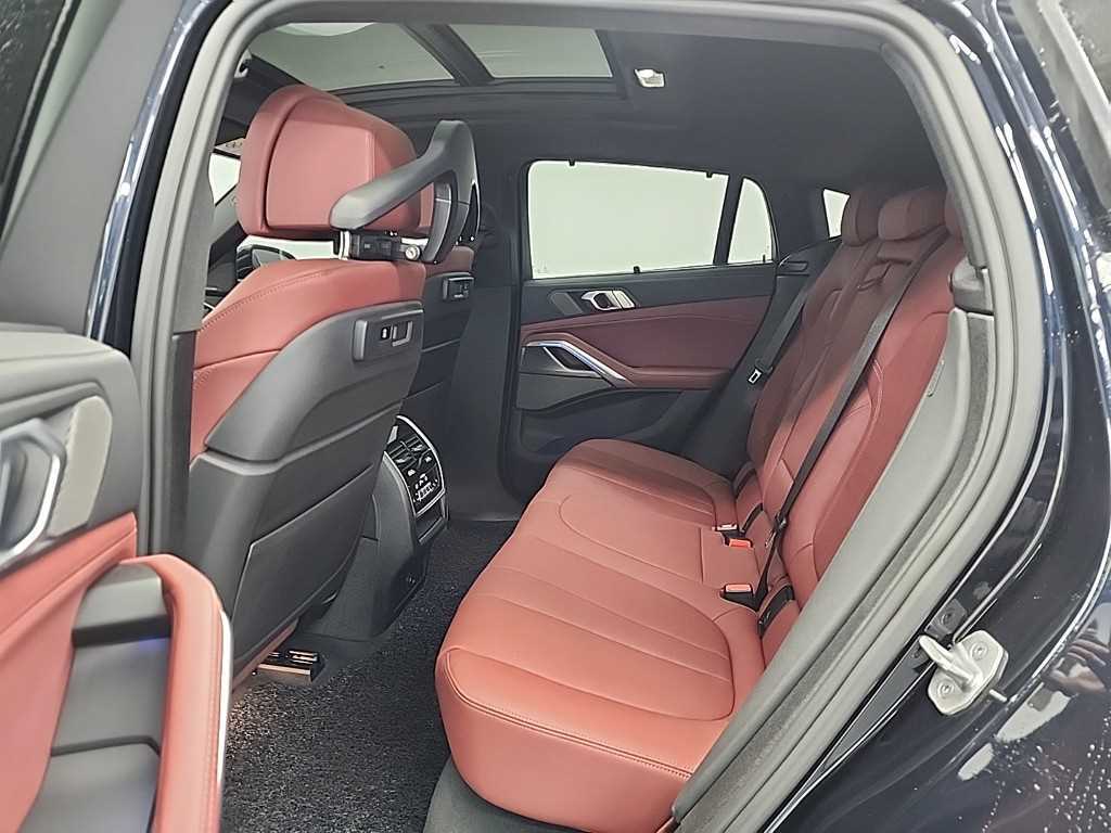 BMW X6 - Vista 12