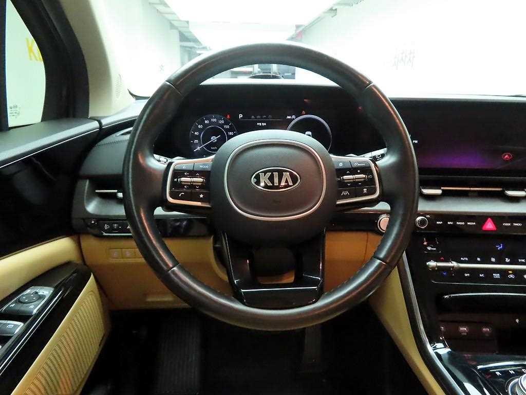 KIA Carnival - Vista 7