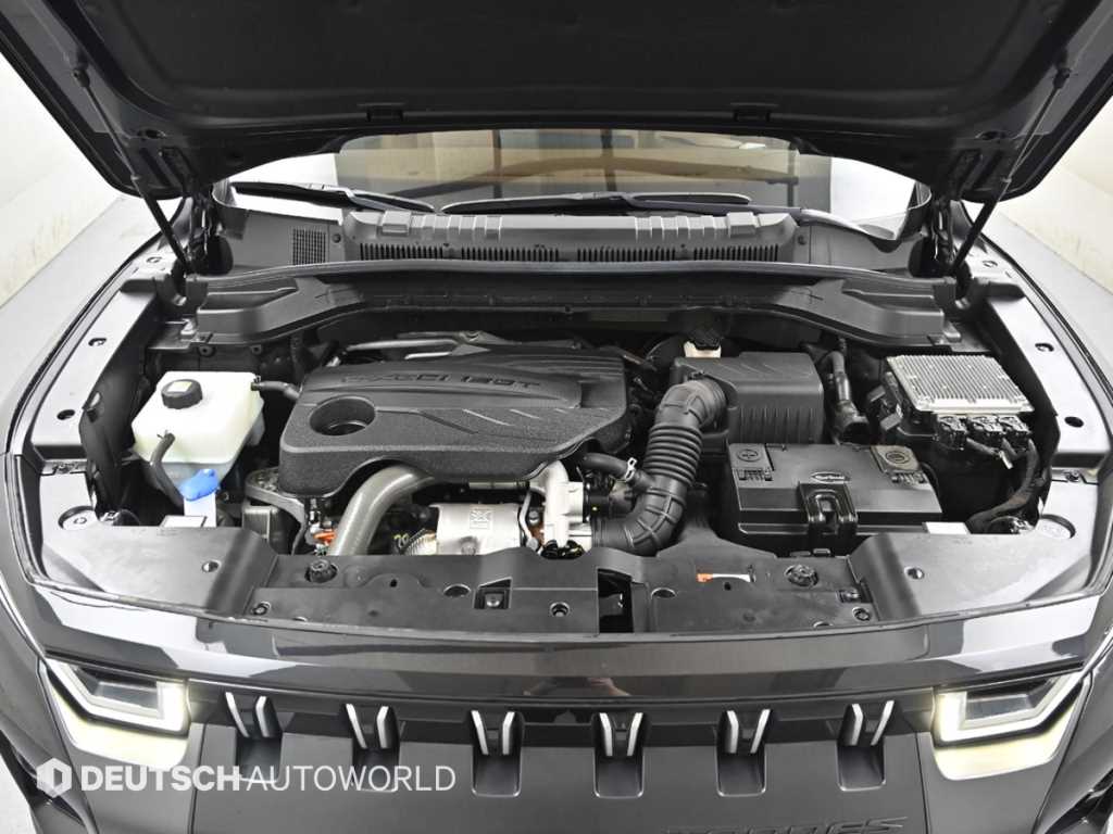 Ssangyong Torres - Vista 6