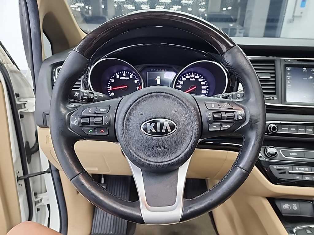 KIA Carnival - Vista 9