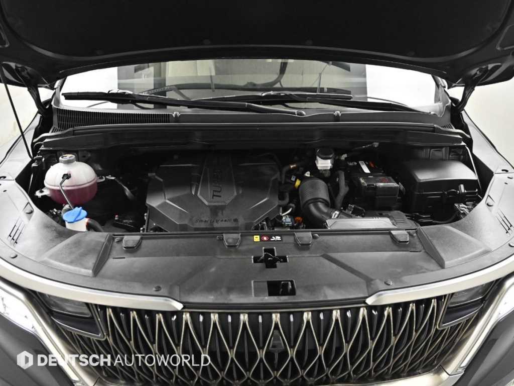 KIA Carnival - Vista 6