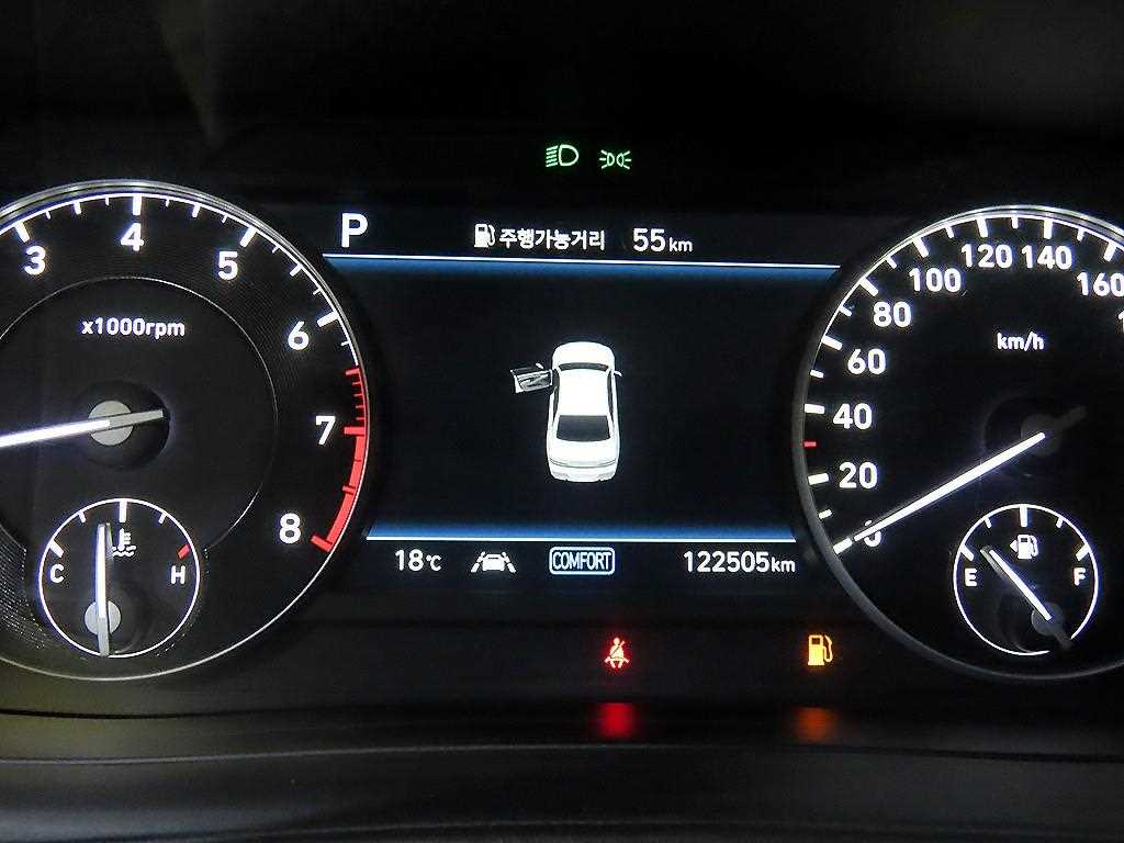 Genesis G90 - Vista 9