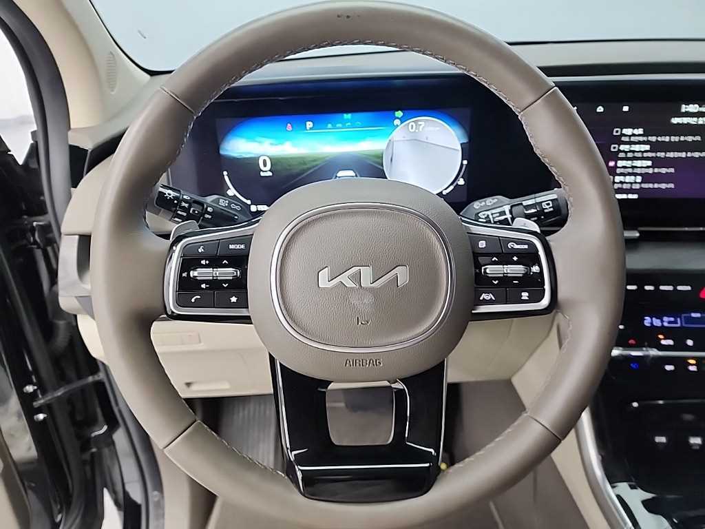 KIA Carnival - Vista 9