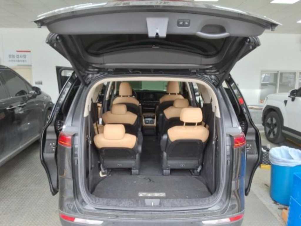 KIA Carnival - Vista 12