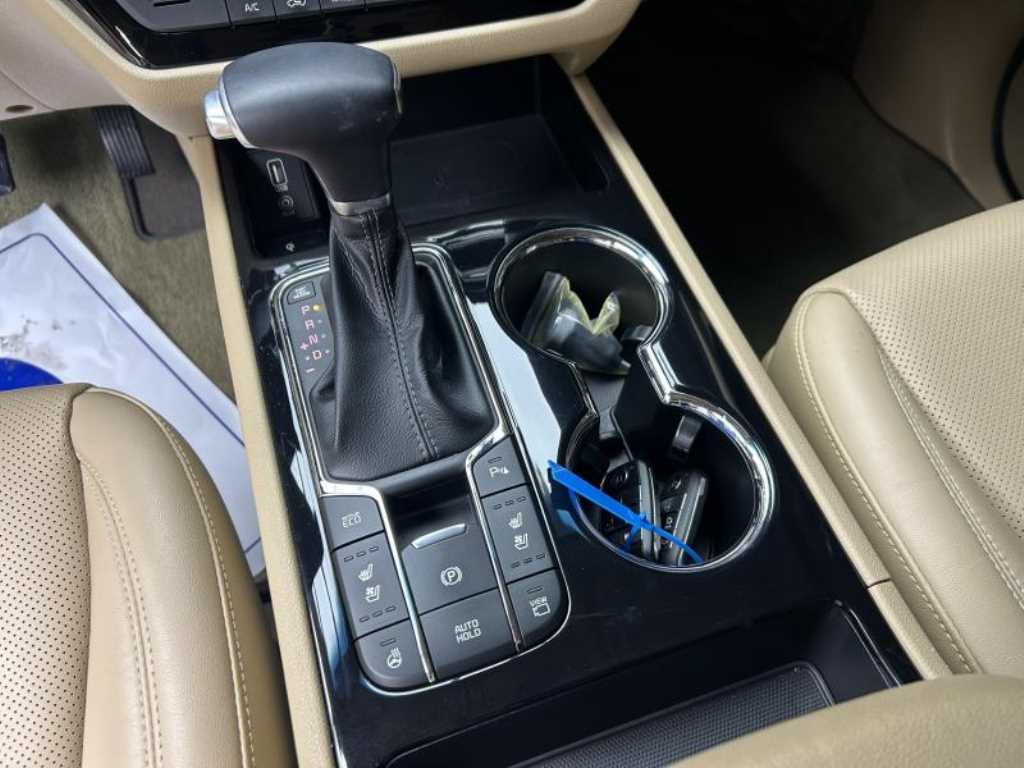 KIA Carnival - Vista 11