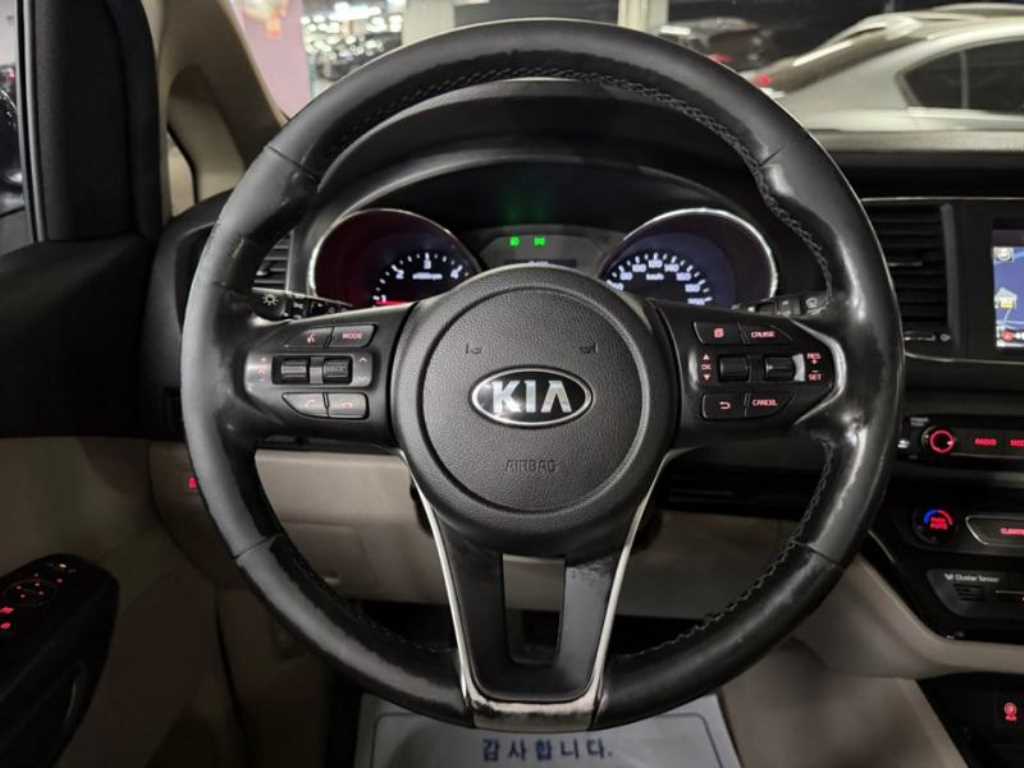 KIA Carnival - Vista 8