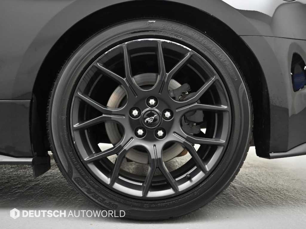 Ford Mustang - Vista 5