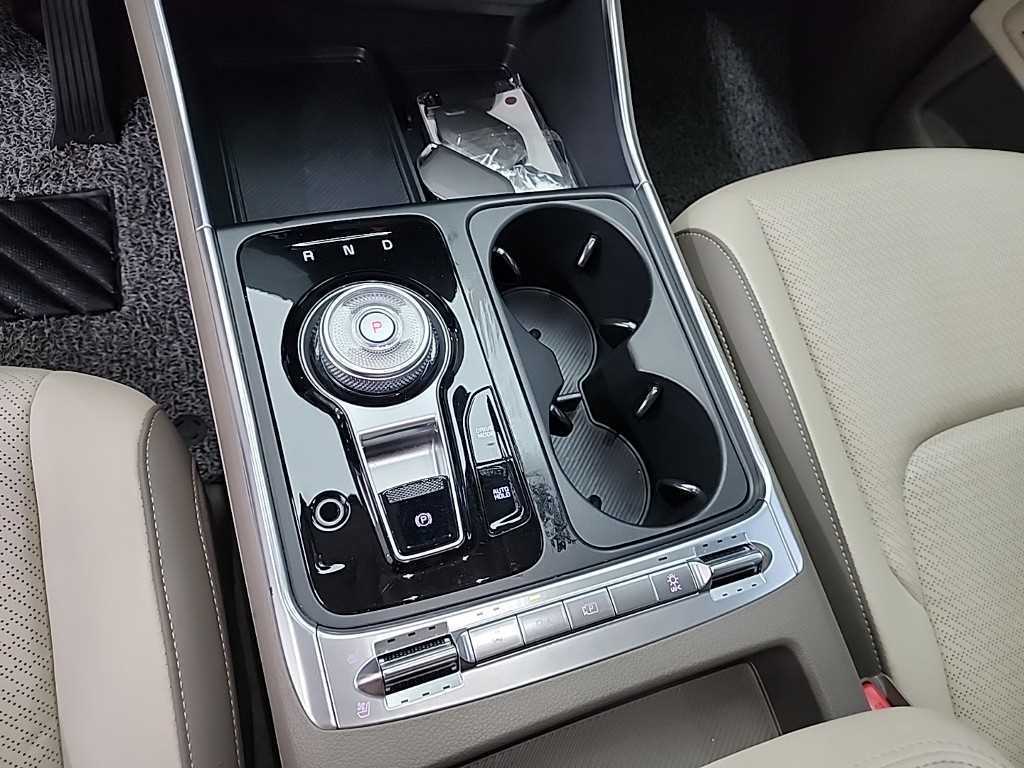 KIA Carnival - Vista 8