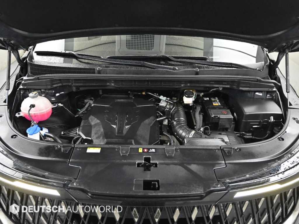 KIA Carnival - Vista 6