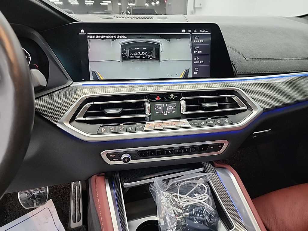 BMW X6 - Vista 10