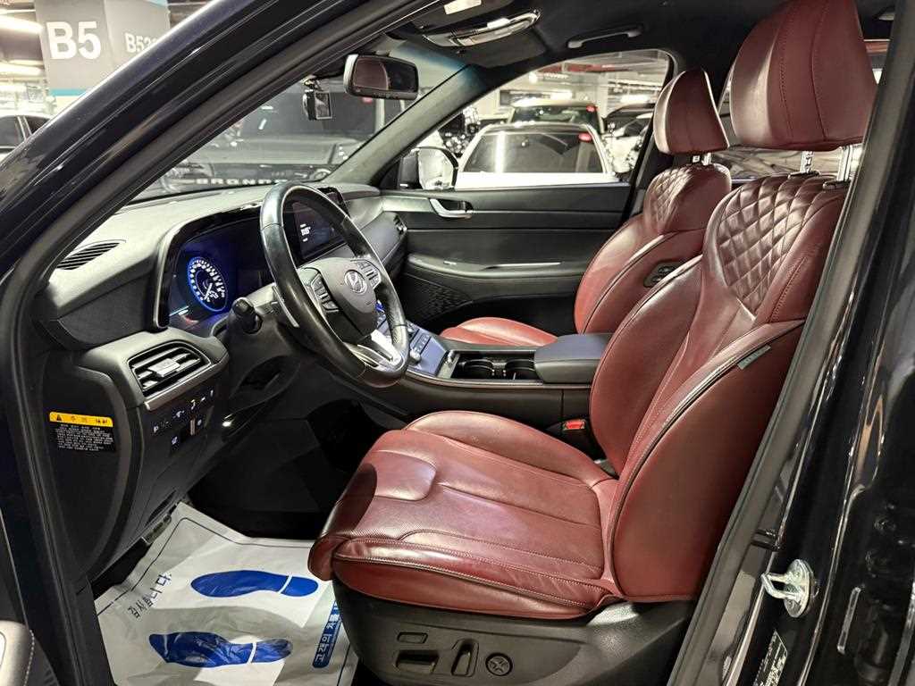 HYUNDAI Palisade - Vista 9