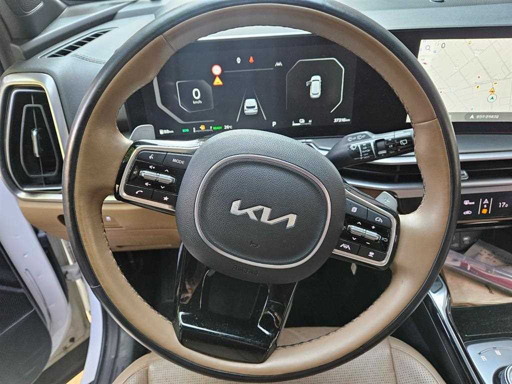 KIA Sorento - Vista 12