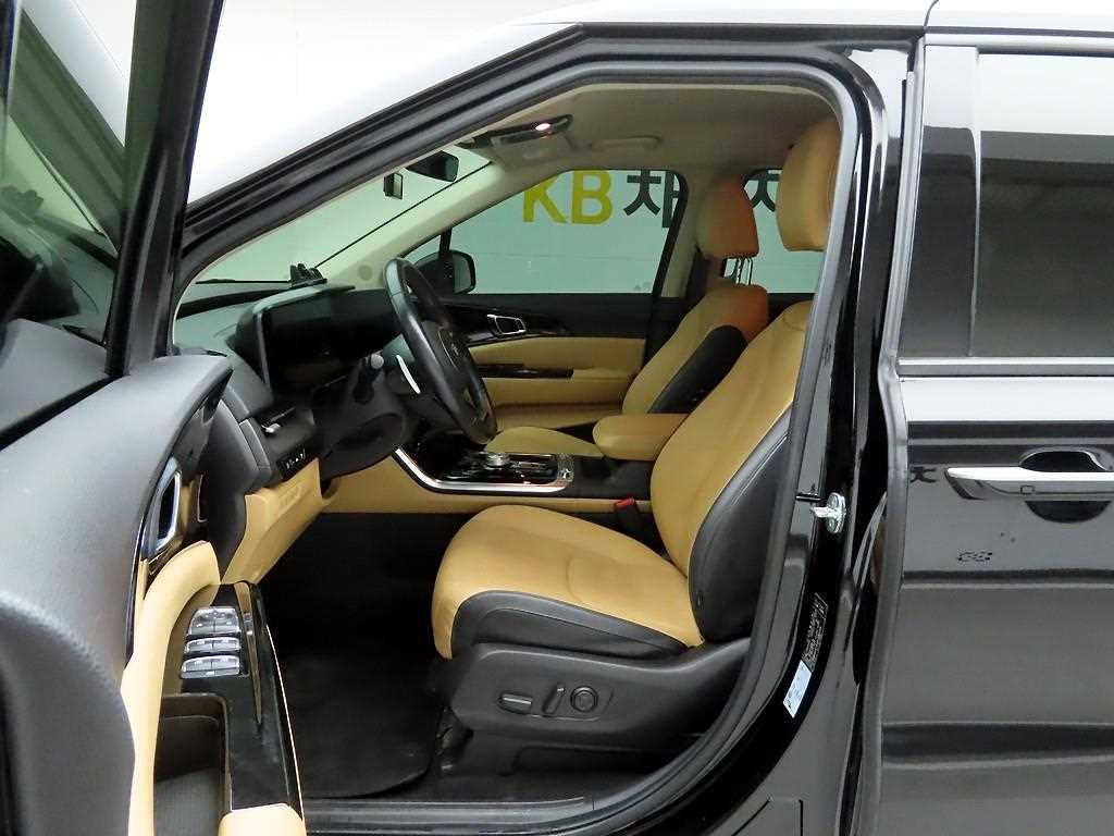 KIA Carnival - Vista 12