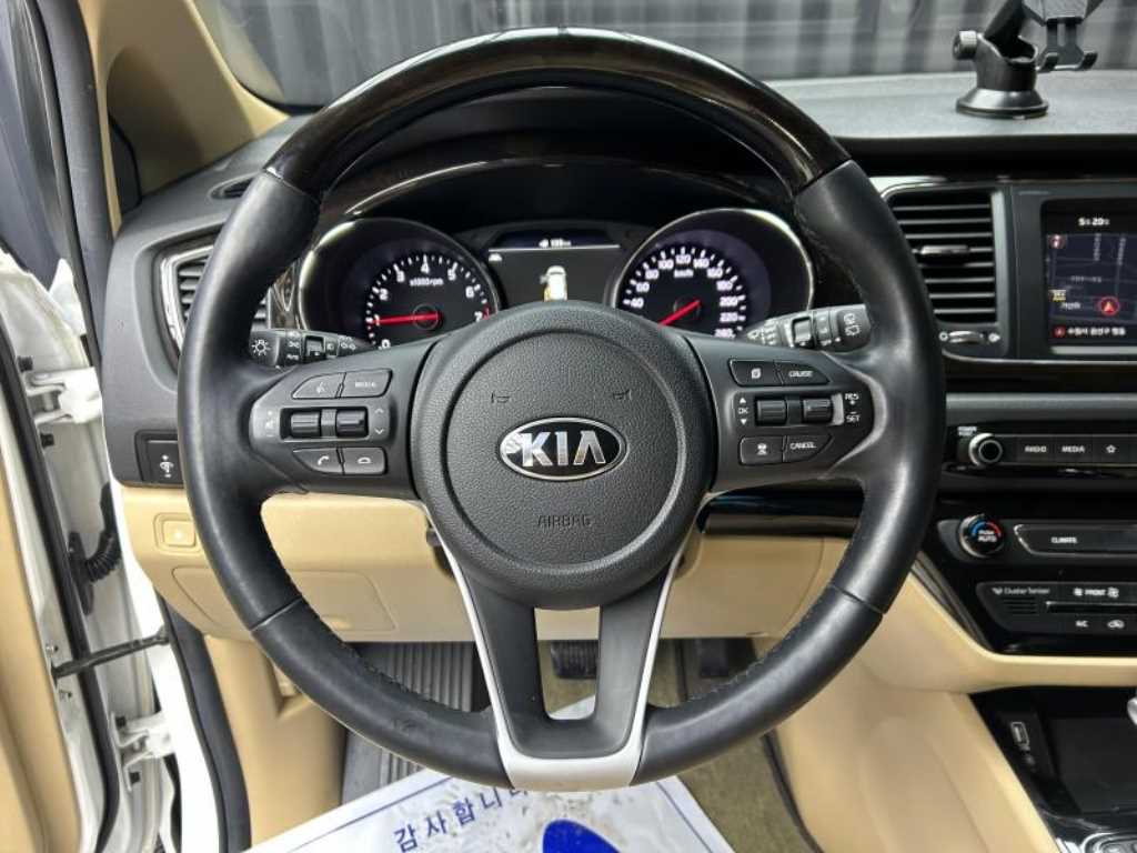 KIA Carnival - Vista 8