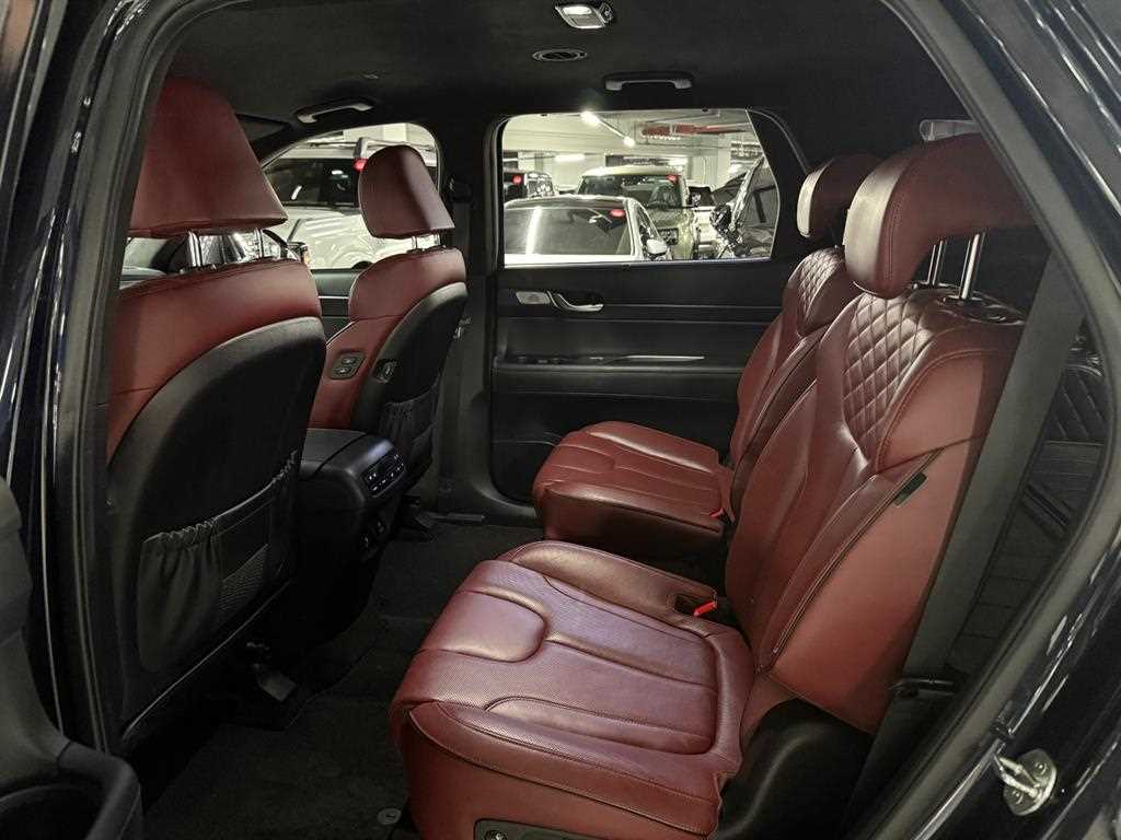 HYUNDAI Palisade - Vista 10