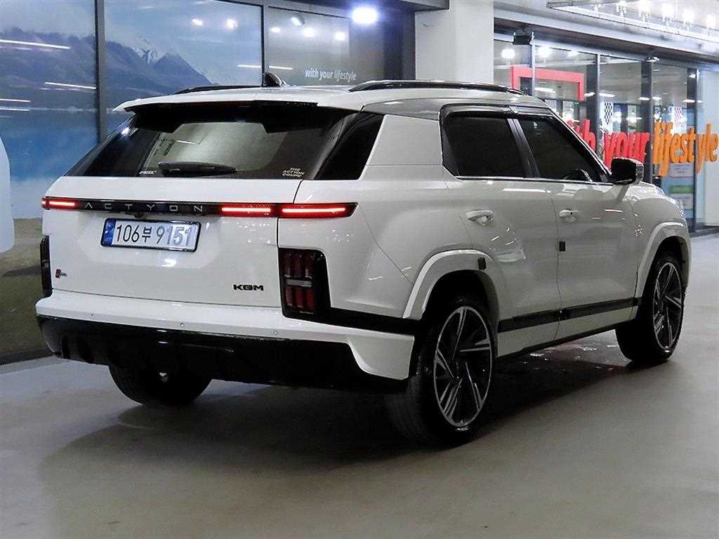Ssangyong Action - Vista 4