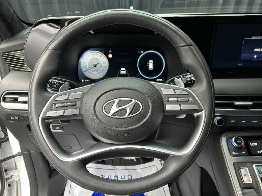 HYUNDAI Palisade - Vista 10