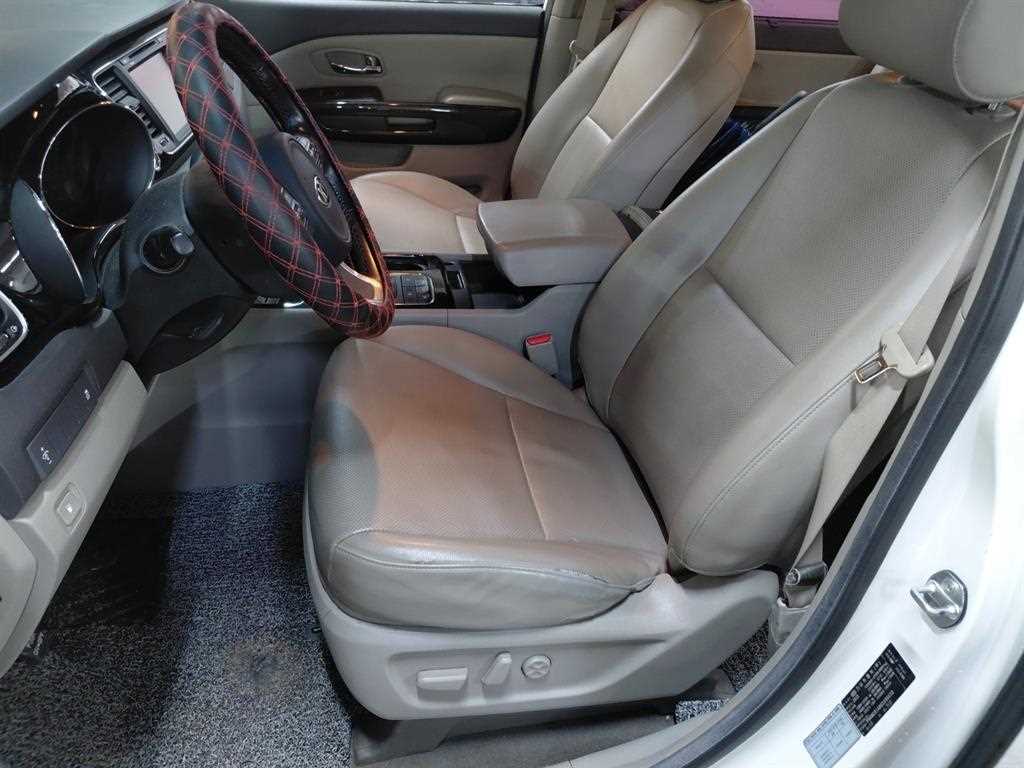 KIA Carnival - Vista 9