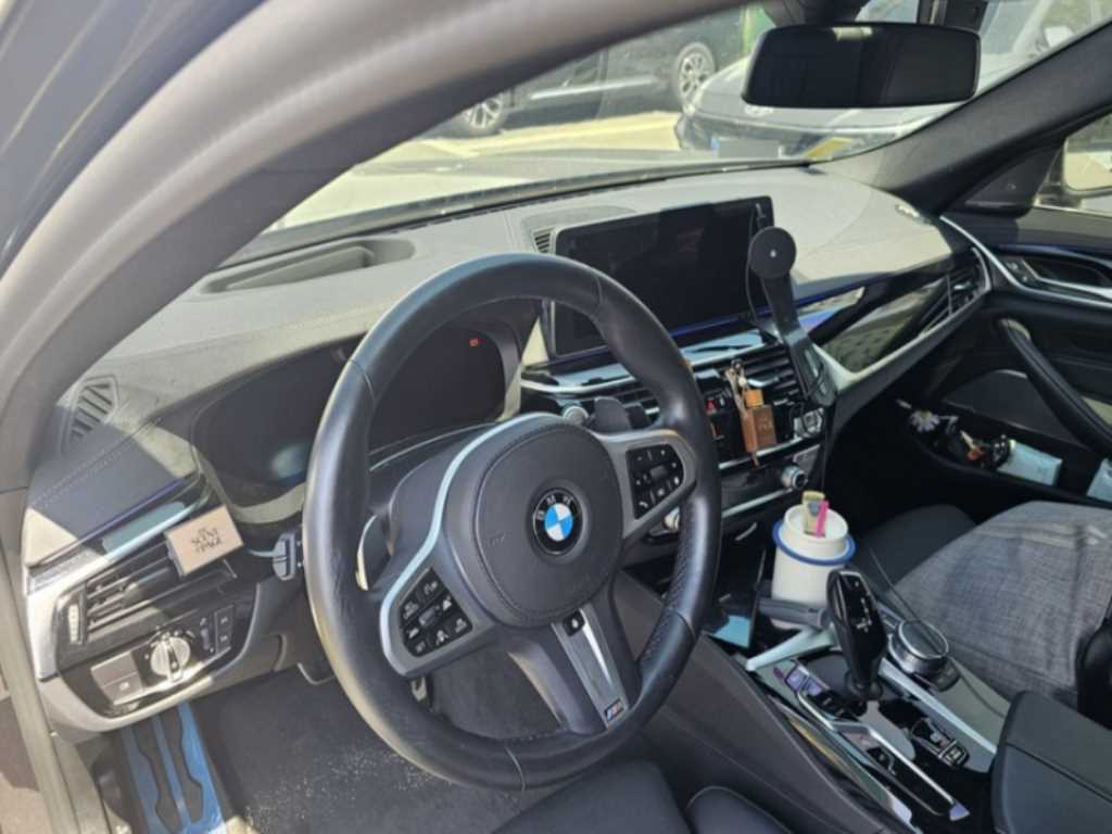 BMW 5 Series - Vista 3