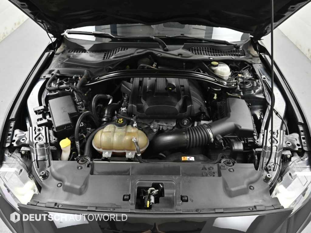 Ford Mustang - Vista 6