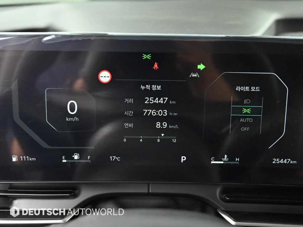 KIA Carnival - Vista 8
