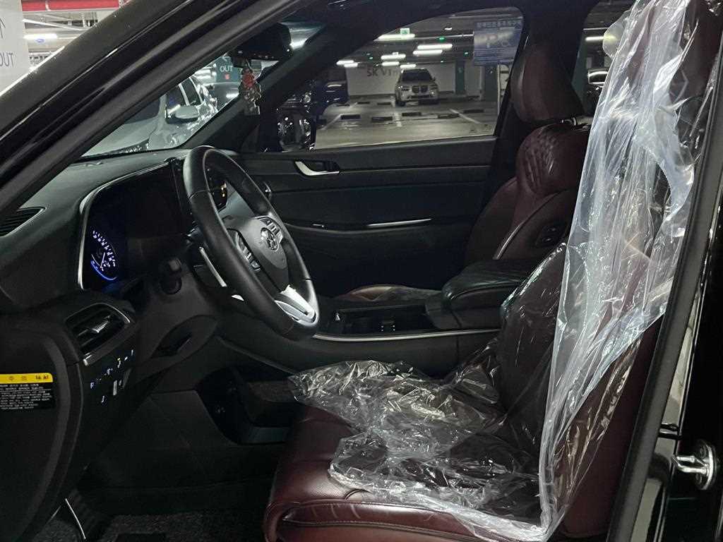 HYUNDAI Palisade - Vista 8