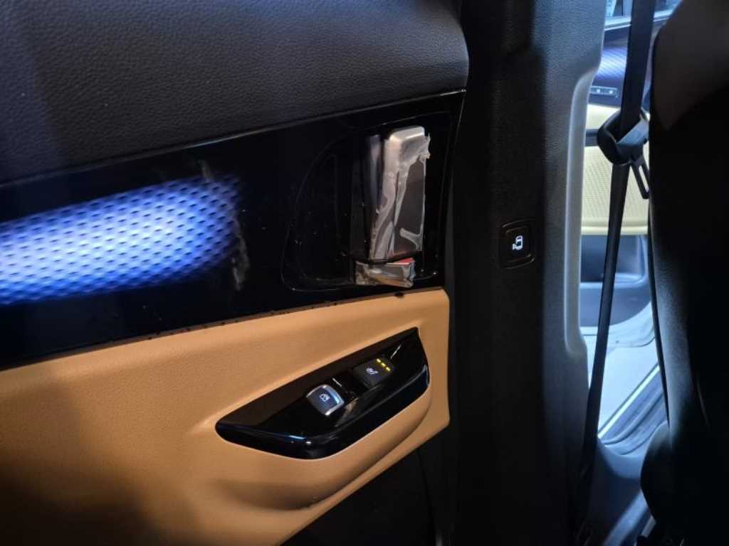 KIA Carnival - Vista 12
