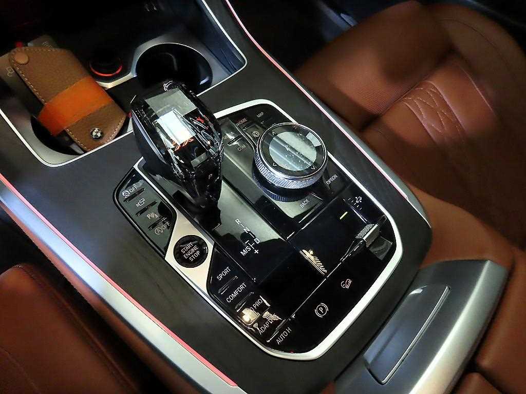 BMW X7 - Vista 12