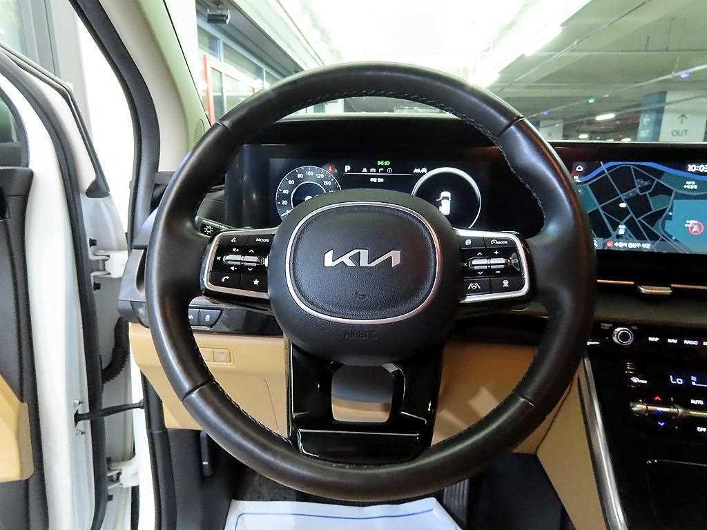 KIA Carnival - Vista 8