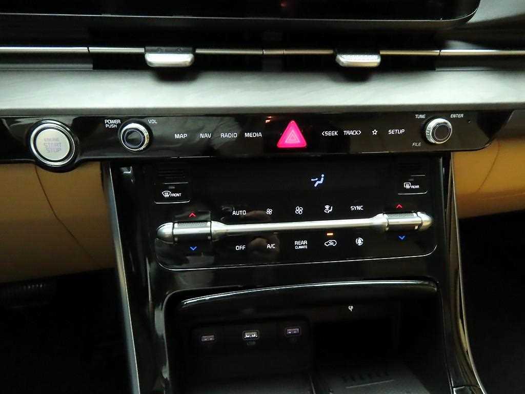 KIA Carnival - Vista 9
