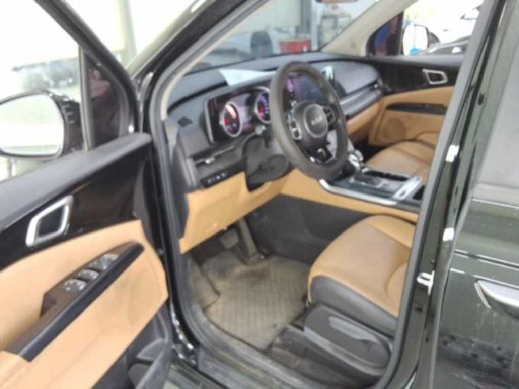 KIA Carnival - Vista 9