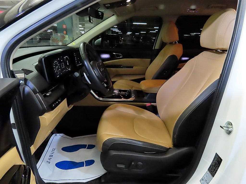 KIA Carnival - Vista 6