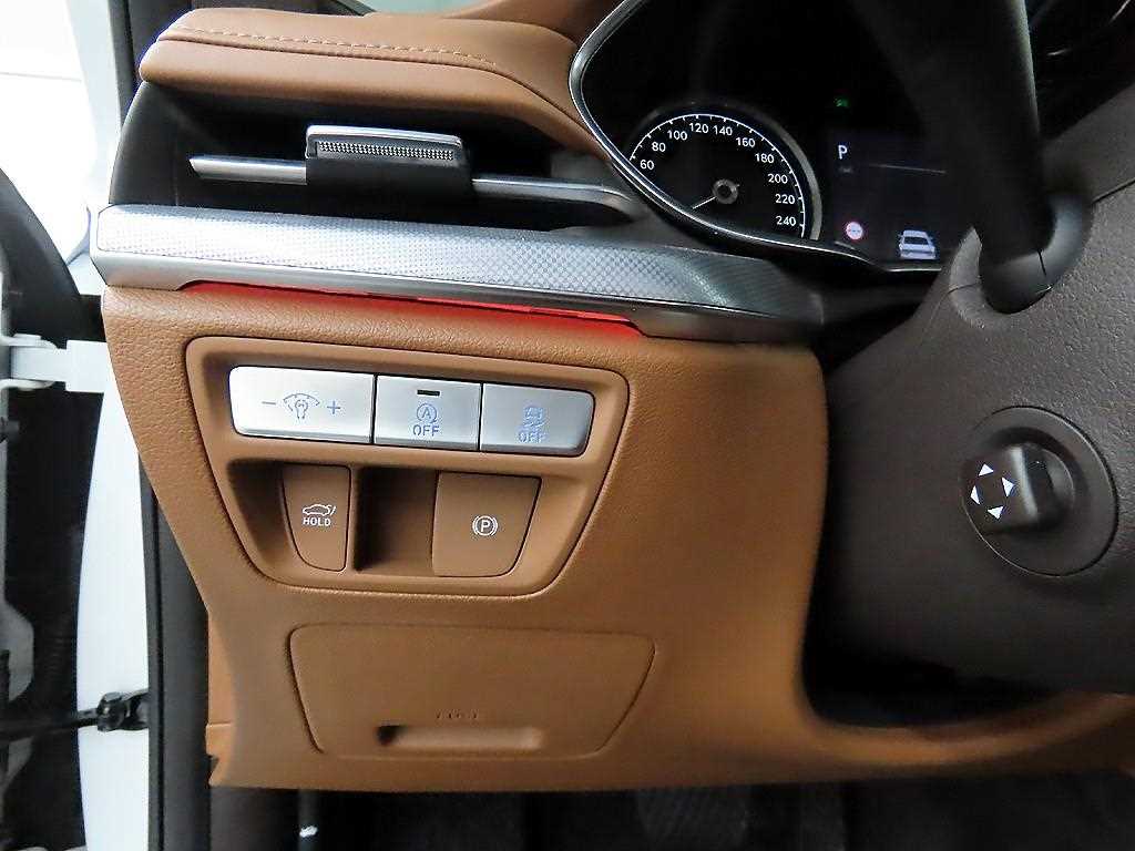 Genesis G80 - Vista 12