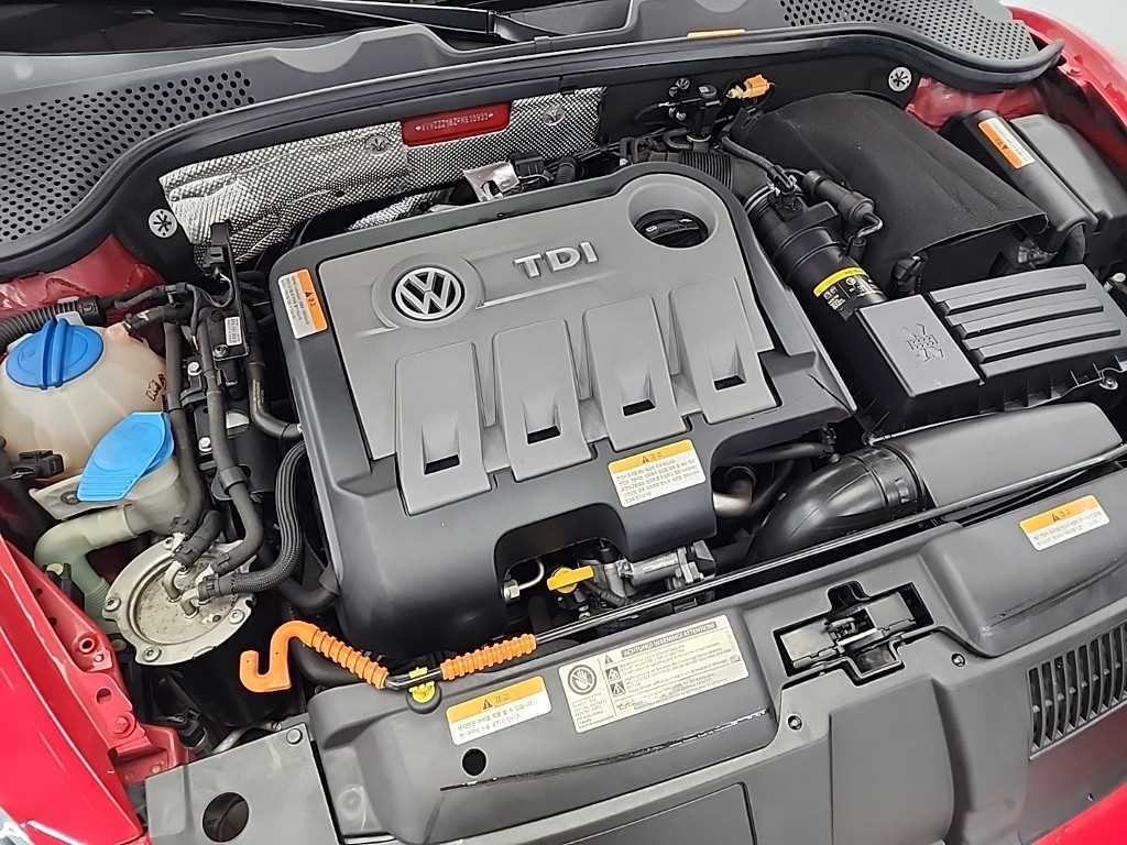 Volkswagen Beetle - Vista 5