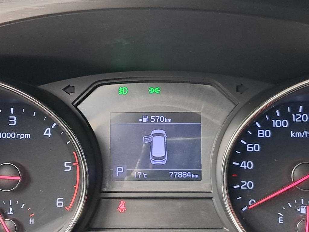 KIA Carnival - Vista 8