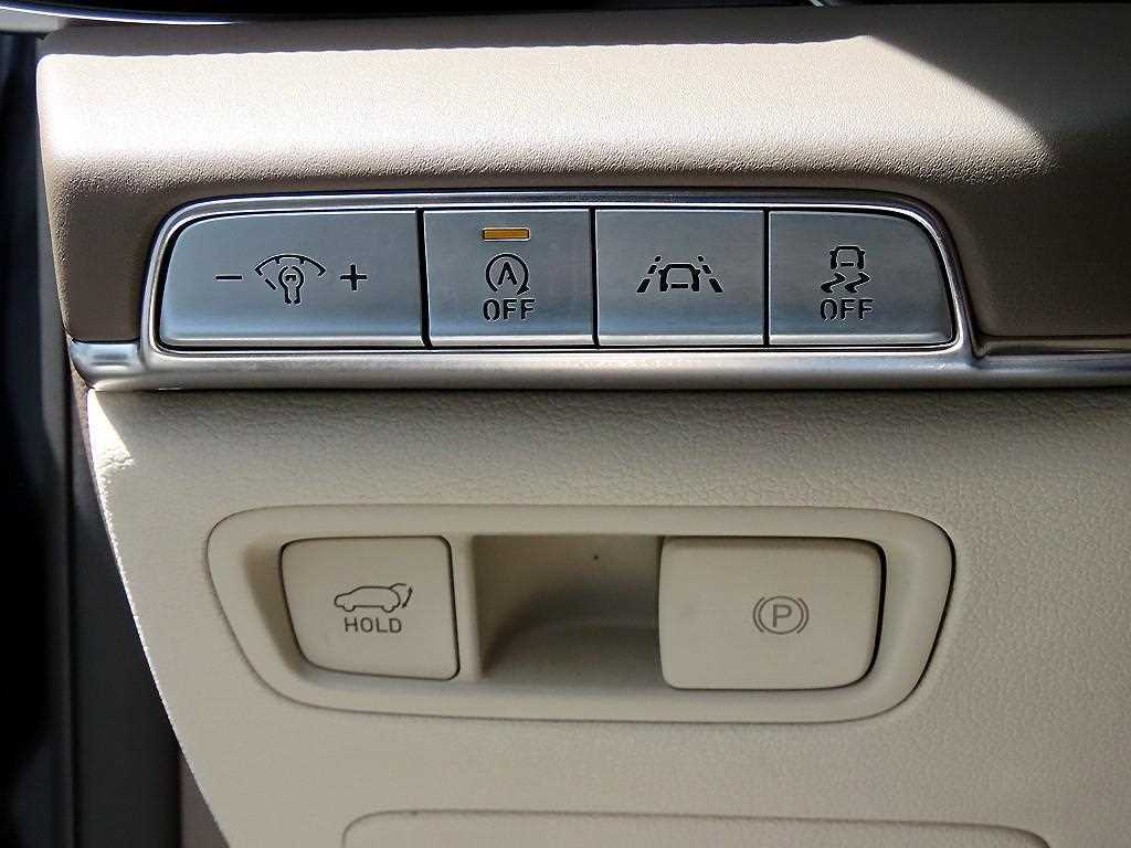 Genesis GV80 - Vista 12
